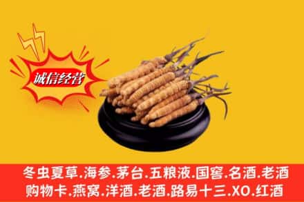 靖边县回收虫草多少钱每克
